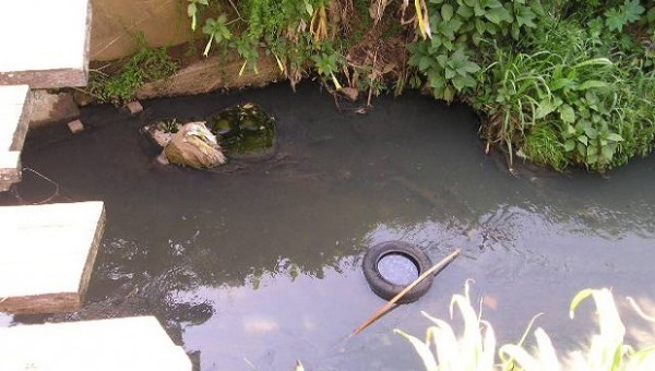 fossa ecológica